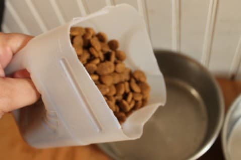Milk Jug